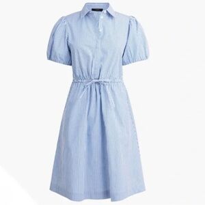 J Crew Blue Striped Women's Dress